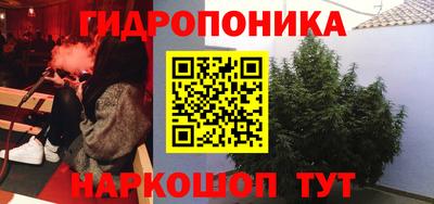 гидра Анжеро-Судженск