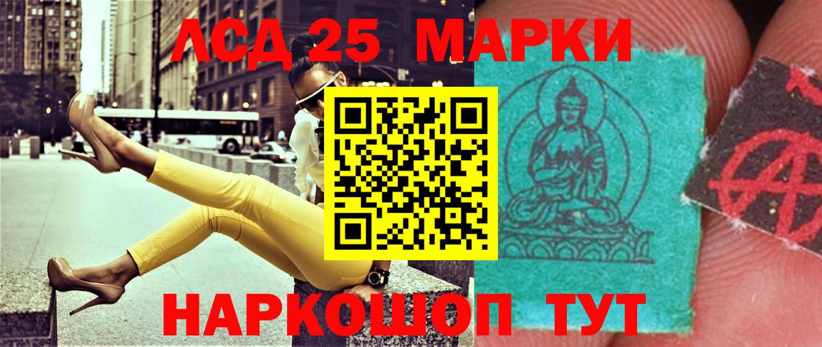 Альфа ПВП Димитровград