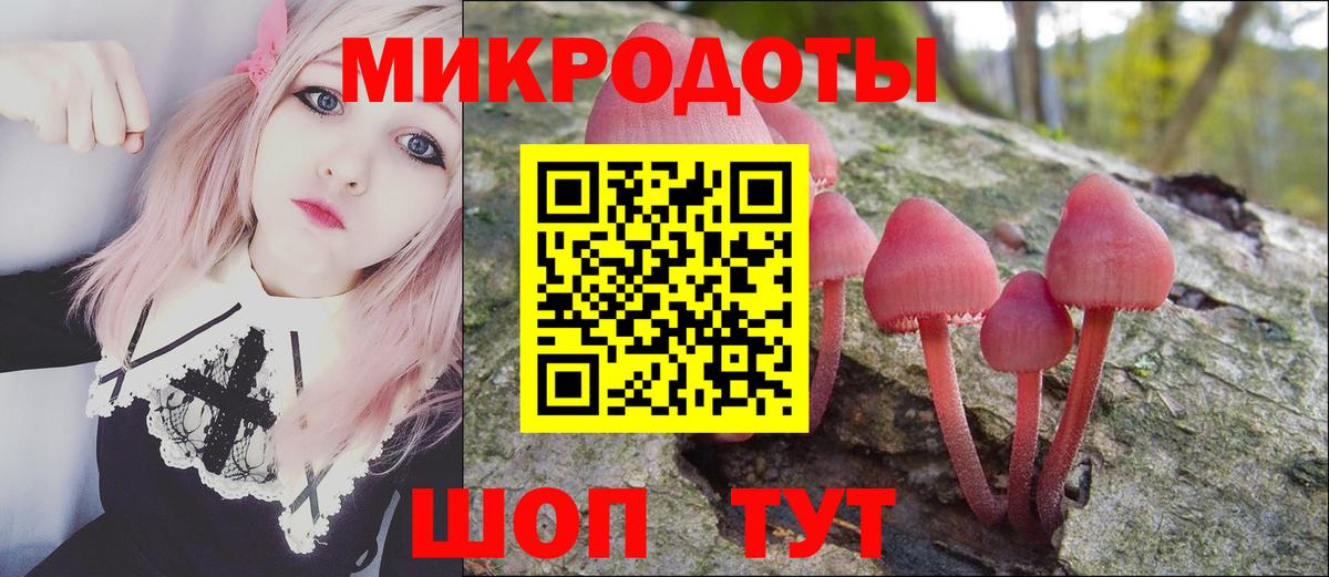 Псилоцибиновые грибы прущие грибы  цены наркотик  Вход с VPN  Димитровград  Псилоцибиновые грибы мухоморы 
